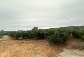 Segorbe 4818&nbsp;m²