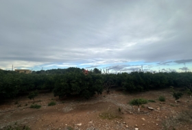 Segorbe 4818&nbsp;m²