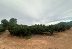 Segorbe 4818&nbsp;m²
