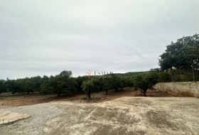 Segorbe 4818&nbsp;m²