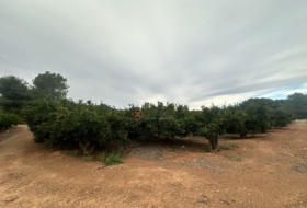 Segorbe 4818&nbsp;m²