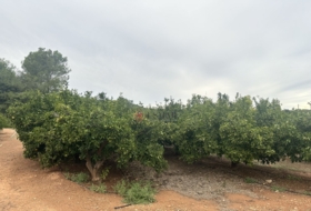 Segorbe 4818&nbsp;m²