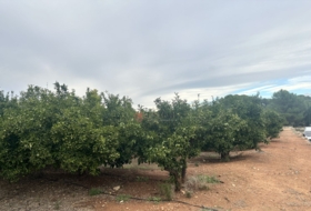 Segorbe 4818&nbsp;m²