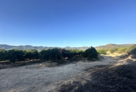 Algímia d'Alfara 23034&nbsp;m²