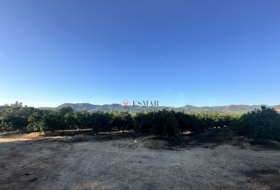 Algímia d'Alfara 23034&nbsp;m²