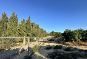 Algímia d'Alfara 23034&nbsp;m²