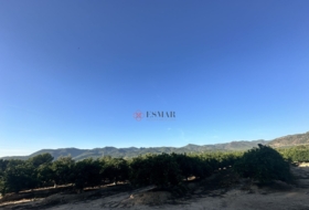 Algímia d'Alfara 23034&nbsp;m²