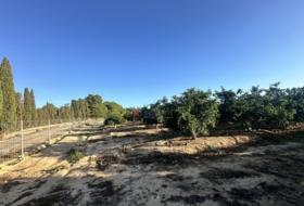 Algímia d'Alfara 23034&nbsp;m²