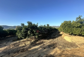 Algímia d'Alfara 23034&nbsp;m²
