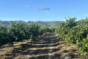 Torres Torres 8653&nbsp;m²