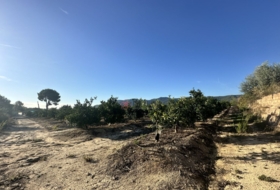 Torres Torres 8653&nbsp;m²