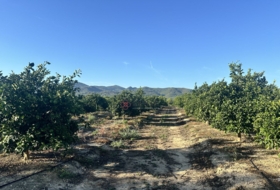 Torres Torres 8653&nbsp;m²