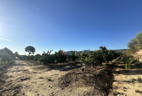 Torres Torres 8653&nbsp;m²