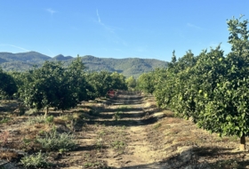 Torres Torres 8653&nbsp;m²