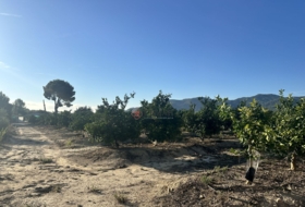 Torres Torres 8653&nbsp;m²