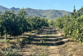 Torres Torres 8653&nbsp;m²