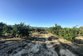 Torres Torres 8653&nbsp;m²