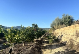 Torres Torres 8653&nbsp;m²