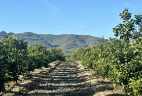 Torres Torres 8653&nbsp;m²