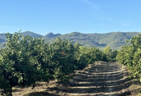 Torres Torres 8653&nbsp;m²