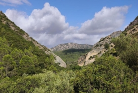 Foto 15