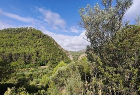 Foto 17