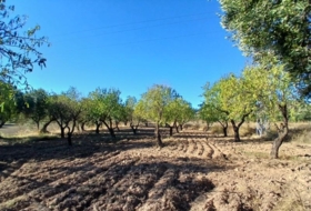 Calaceite 2648&nbsp;m²
