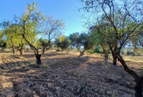 Calaceite 2648&nbsp;m²