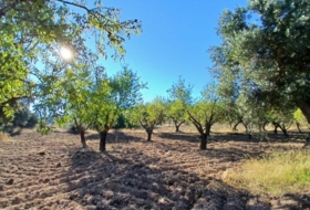 Calaceite 2648&nbsp;m²