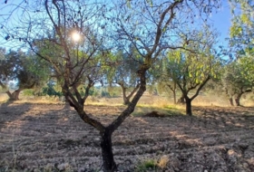 Calaceite 2648&nbsp;m²