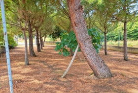 Ardón 385&nbsp;m²