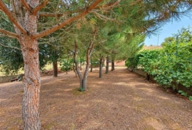 Ardón 385&nbsp;m²
