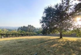 Carral 1985&nbsp;m²