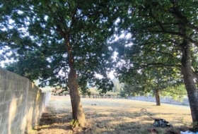 Carral 1985&nbsp;m²