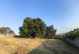Carral 1985&nbsp;m²