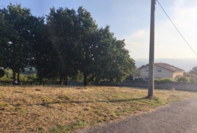Carral 1985&nbsp;m²