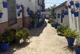 Cañete de las Torres 228&nbsp;m²