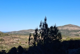 Benigembla 24158&nbsp;m²