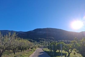 Benigembla 24158&nbsp;m²