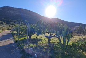 Benigembla 24158&nbsp;m²
