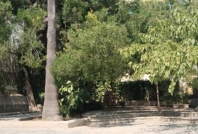 Felanitx 200&nbsp;m²