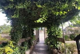 Foto 9
