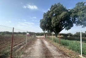 Brihuega 62976&nbsp;m²