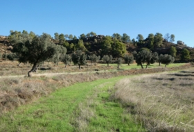 Fabara 43800&nbsp;m²