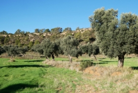 Fabara 43800&nbsp;m²
