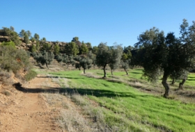 Fabara 43800&nbsp;m²