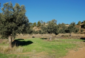 Fabara 43800&nbsp;m²