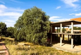 Carrascal de Barregas 1692&nbsp;m²