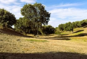 Carrascal de Barregas 1692&nbsp;m²
