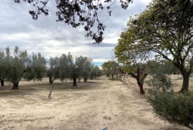 Caudete 15&nbsp;m²